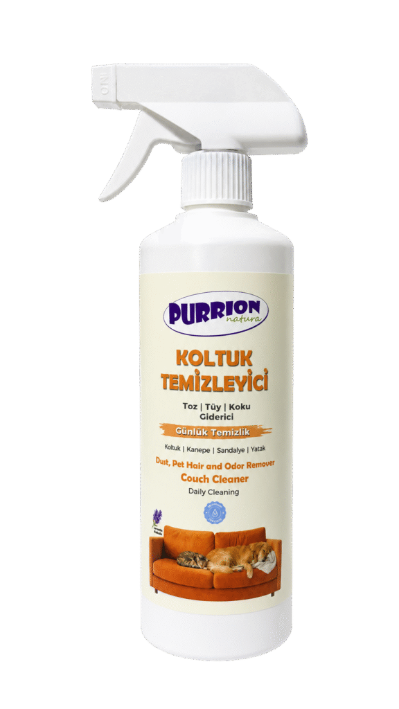 purrion koltuk photoroom