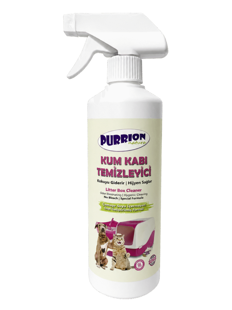 purrion kum kabı photoroom
